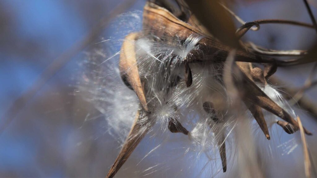 画像に alt 属性が指定されていません。ファイル名: 5cf1820548b549e39ef4d08efe73b0ee-1024x576.jpg